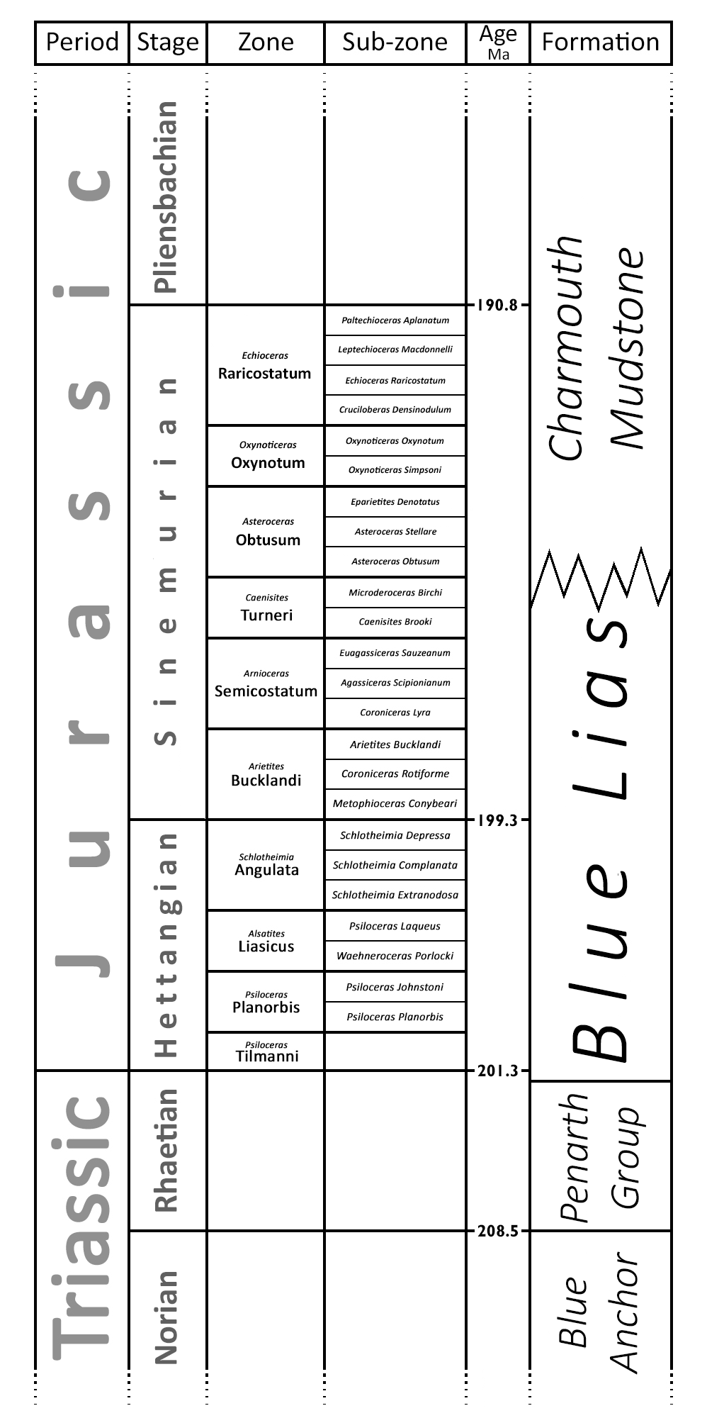 Stratigraphy of Blue Lias