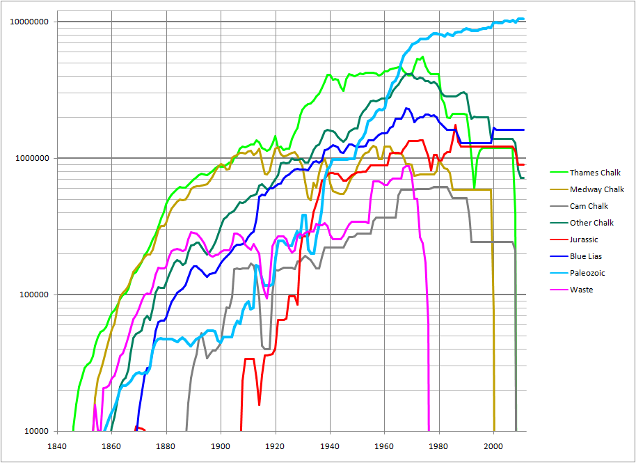 Capacity by Raw Material