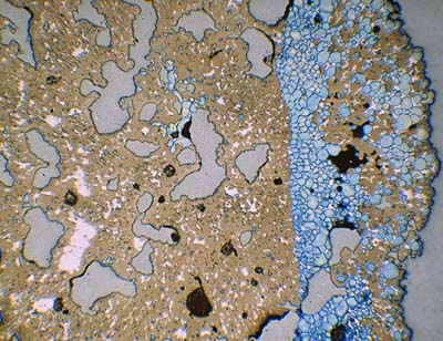 Microscopy10