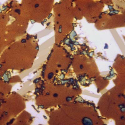 Microscopy16